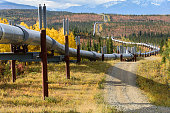 Đóng cửa đường ống Trans Mountain sau vụ tràn dầu